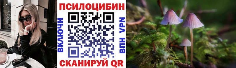 Галлюциногенные грибы мицелий Макарьев